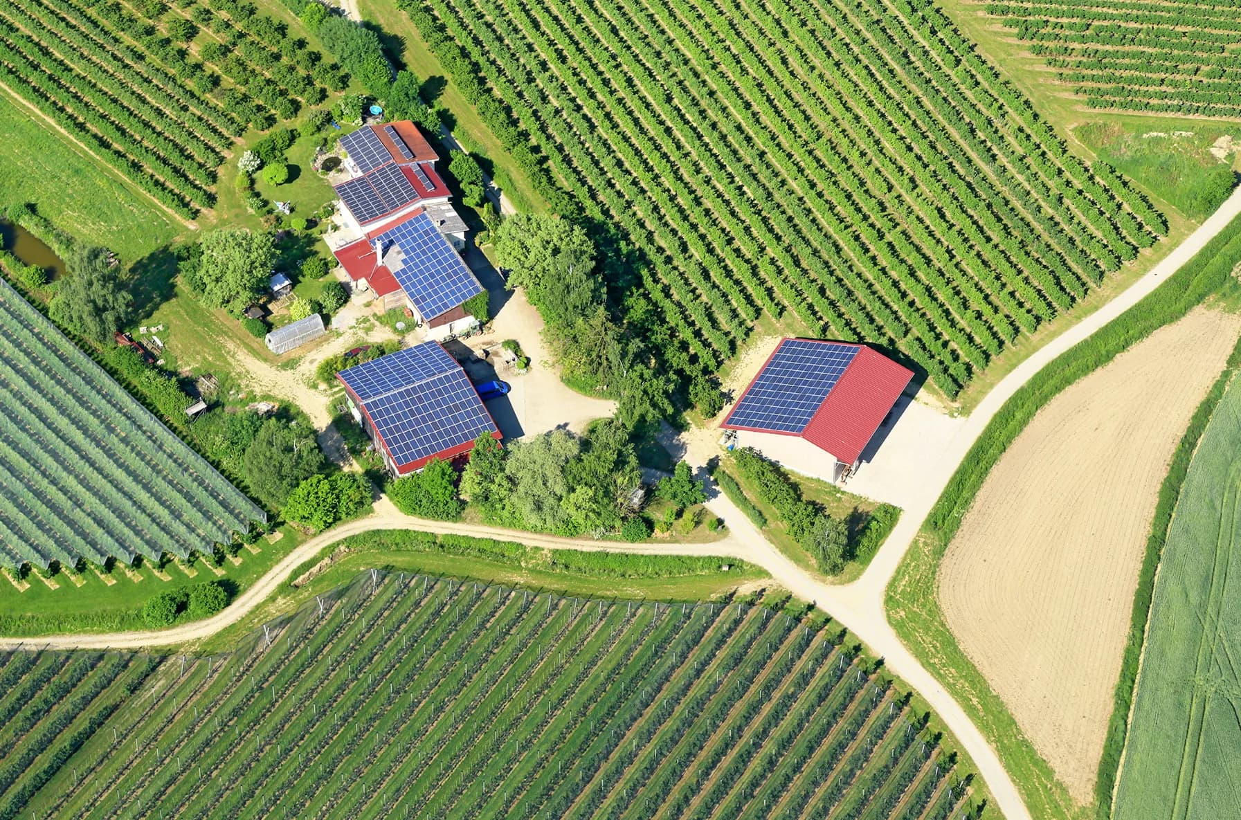 farm-south-africa-solar (1)